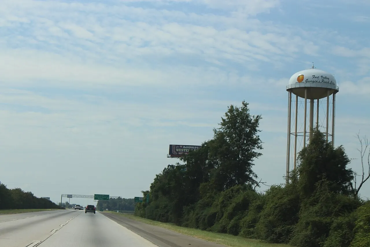 The Fort Valley water tower beside Interstate 75 in Peach County.