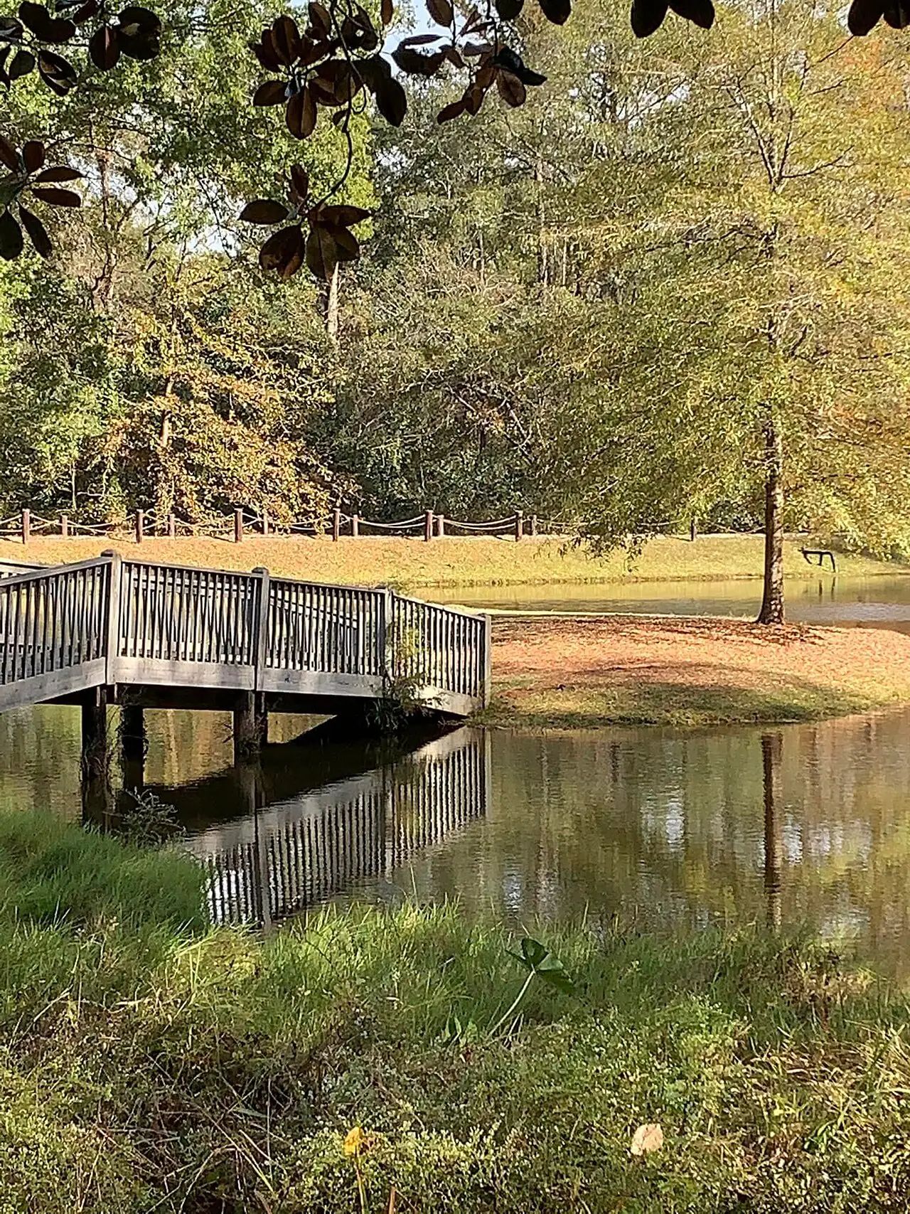 A footbridge and its reflection in a pond at Lockerly Arboretum in Milledgeville, photographed in November 2022.