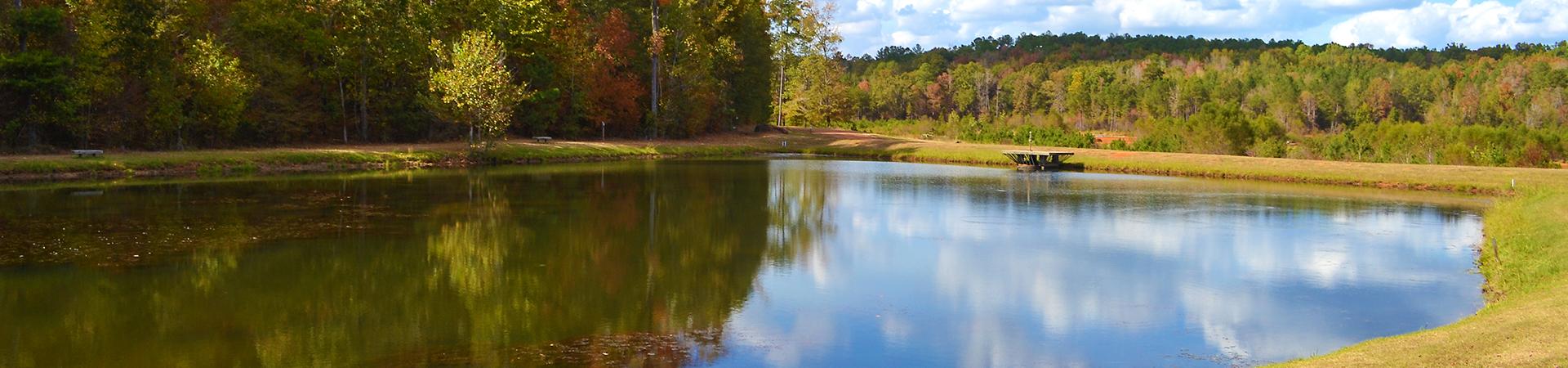 Broad view across the 106-acre lake and fishing docks at Ocmulgee Public Fishing Area.