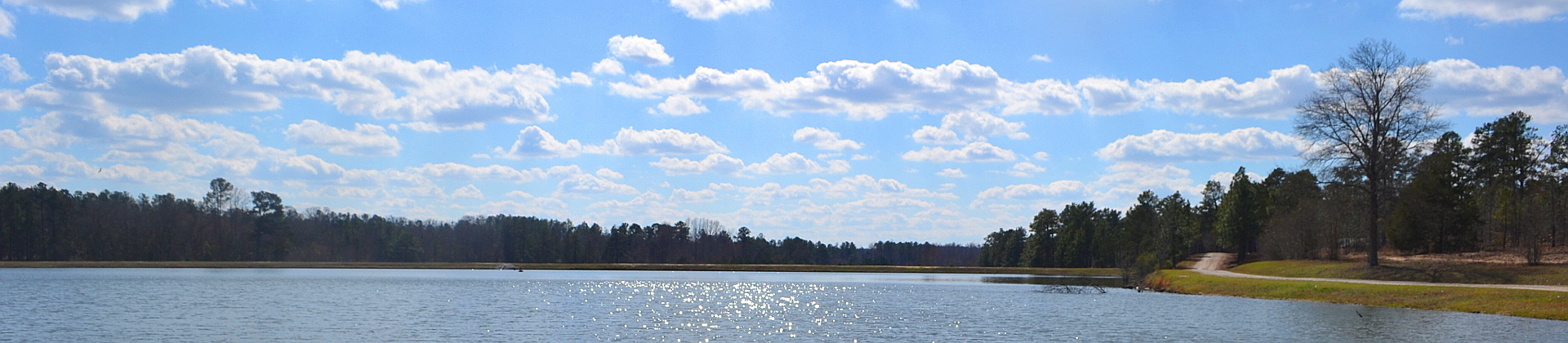 Wide view across a lake at McDuffie Public Fishing Area.