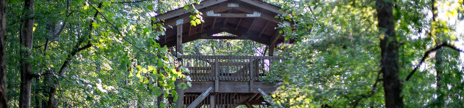 Wooden observation tower among trees at Chattahoochee Bend State Park.