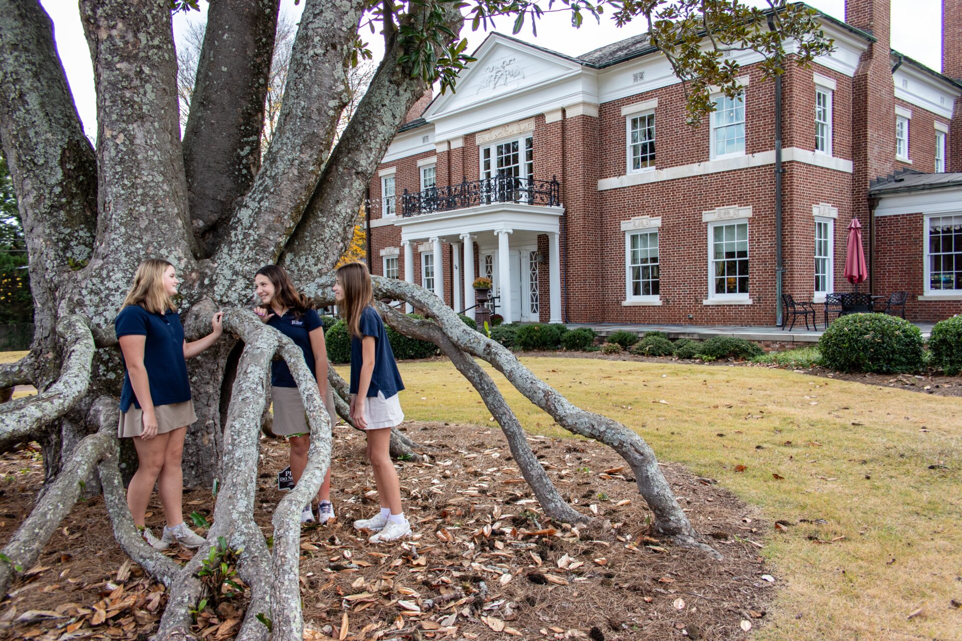 McRitchie-Hollis Museum behind its spreading magnolia tree.