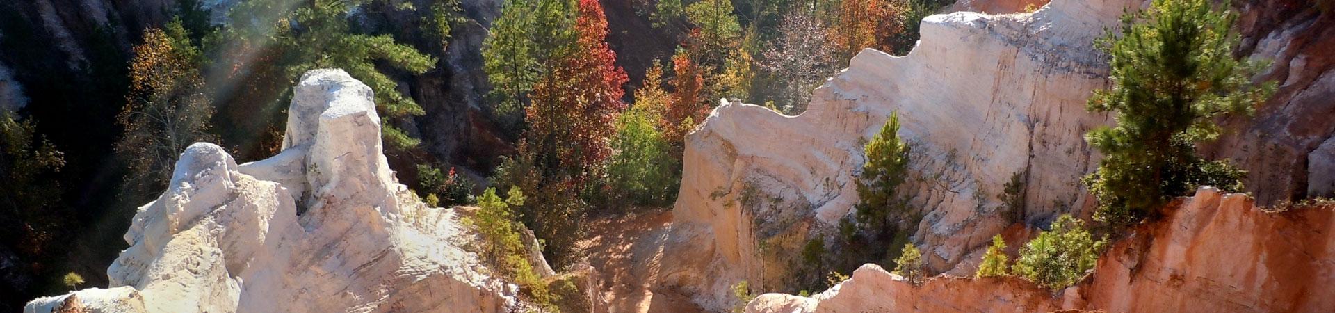 Pale and orange canyon walls surrounded by trees at Providence Canyon State Park.