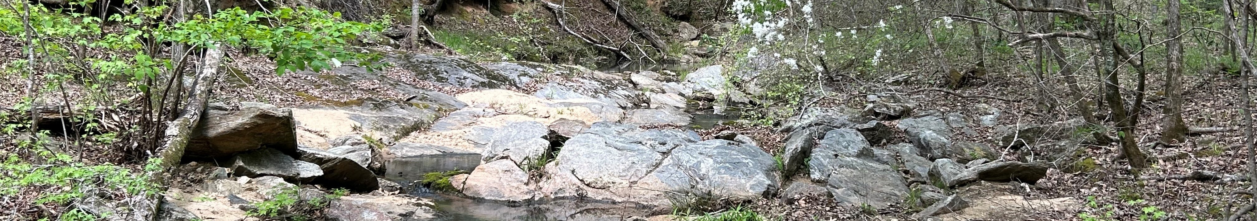 A wooded ravine and shallow stream flowing around exposed boulders at Upatoi Ravines Natural Area.