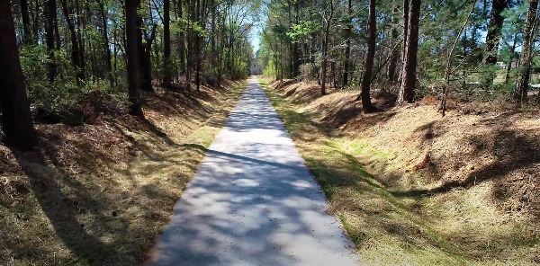 The paved Firefly Trail running through trees in Greene County.