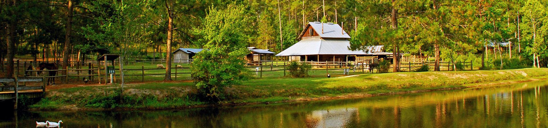 General Coffee State Park's heritage farm buildings and fenced animals reflected across a pond.