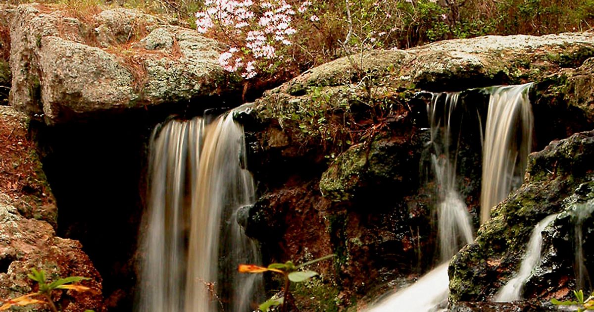 Water cascading over mossy sandstone ledges at Broxton Rocks Preserve.