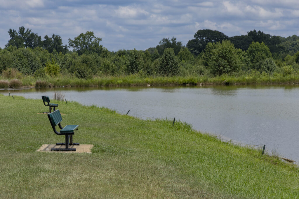 The fishing lake and installed angler benches at Nash Farm Park.