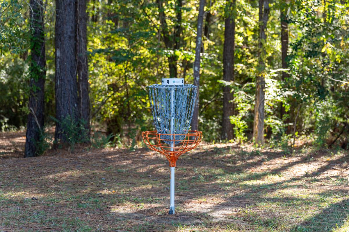 Disc-golf basket number four among trees at Walter B. Williams Park.