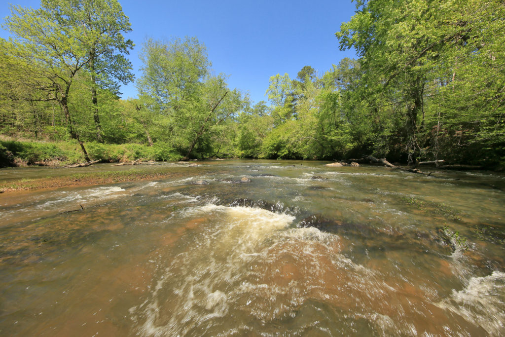 Low shoals and current on the Tallapoosa River along the Dub Denman Canoe Trail.