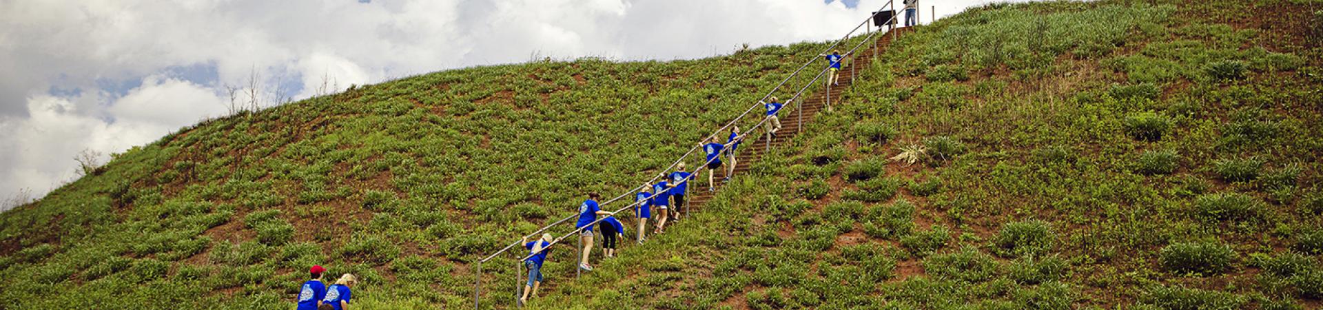 Visitors climbing the long stairway up Mound A at Kolomoki Mounds State Park.