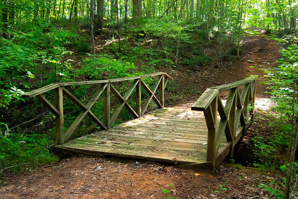A weathered footbridge crossing a wooded dirt trail at Little Tallapoosa Park.