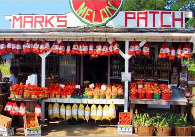 Mark's Melon Patch roadside farm stand stocked with tomatoes, corn and other produce beneath its hand-painted sign.