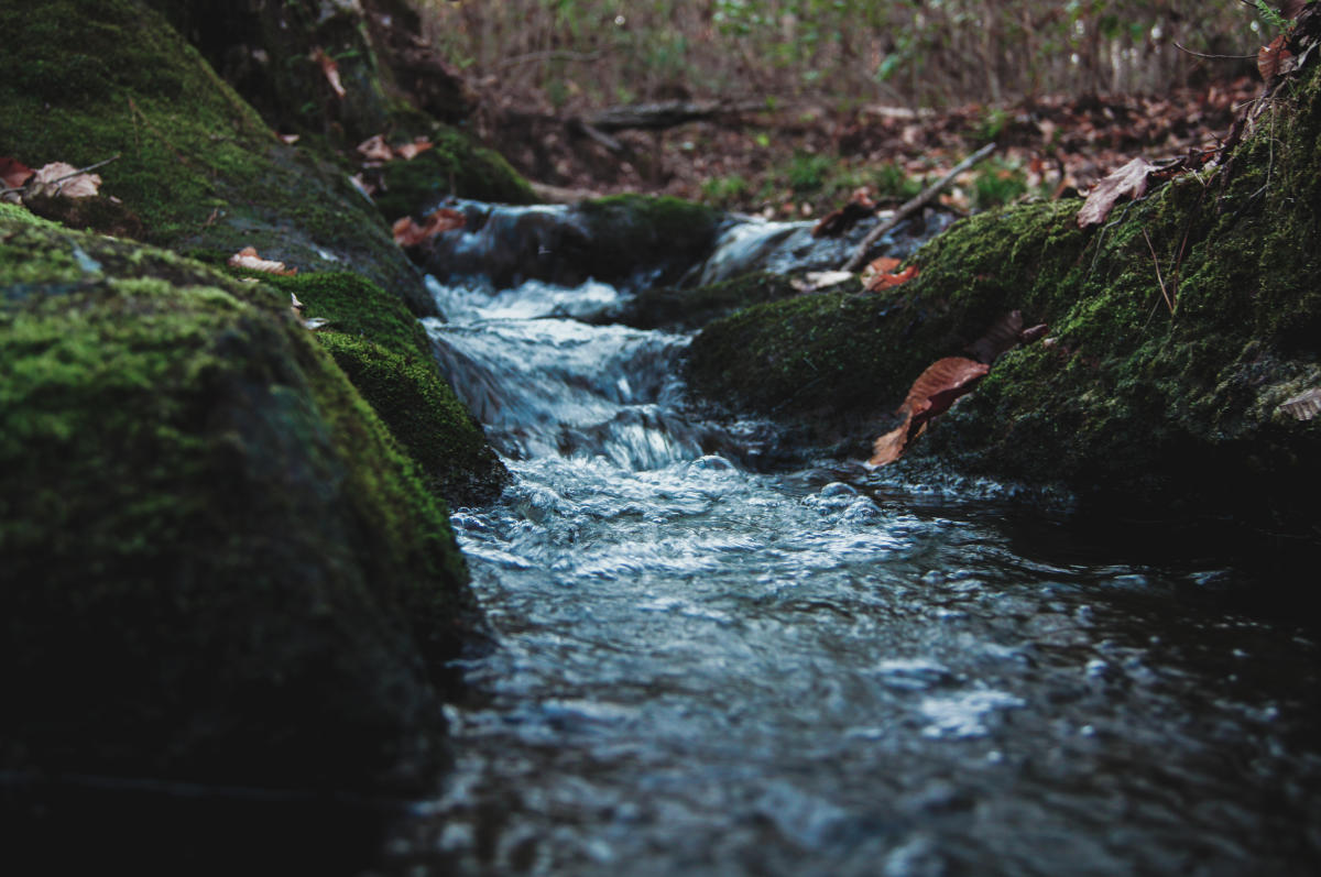 A woodland stream among moss-covered rocks at Selma Erwin Nature Preserve.