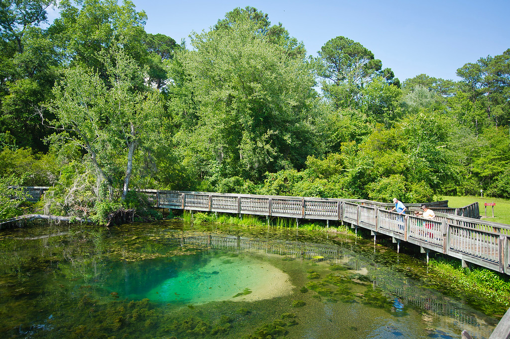 The boardwalk overlooking Magnolia Springs, with two distant visitors.