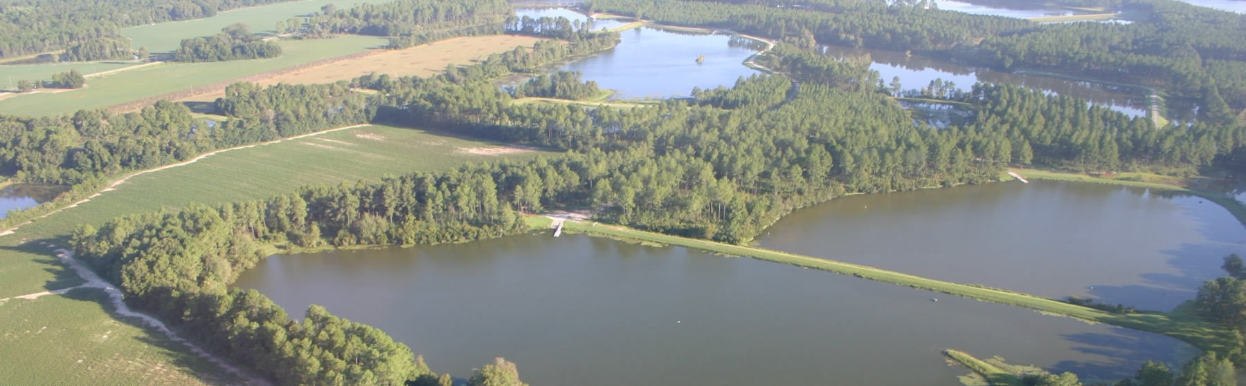 An aerial view of Paradise Public Fishing Area's many separated lakes, pine stands, levees and surrounding farmland.
