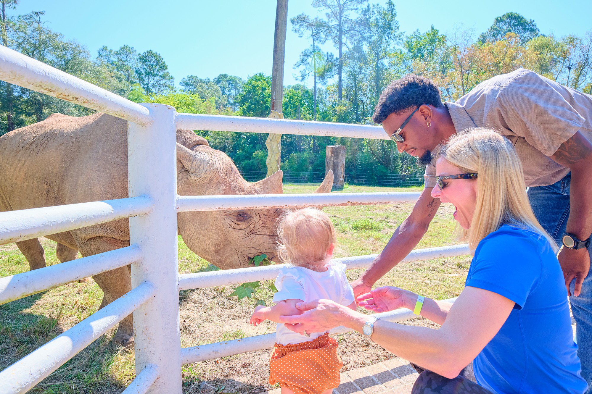 A family viewing a rhinoceros from the visitor rail at Chehaw Park and Zoo in Albany.