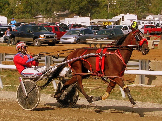A Standardbred harness horse and driver racing at Hawkinsville's Lawrence Bennett facility.
