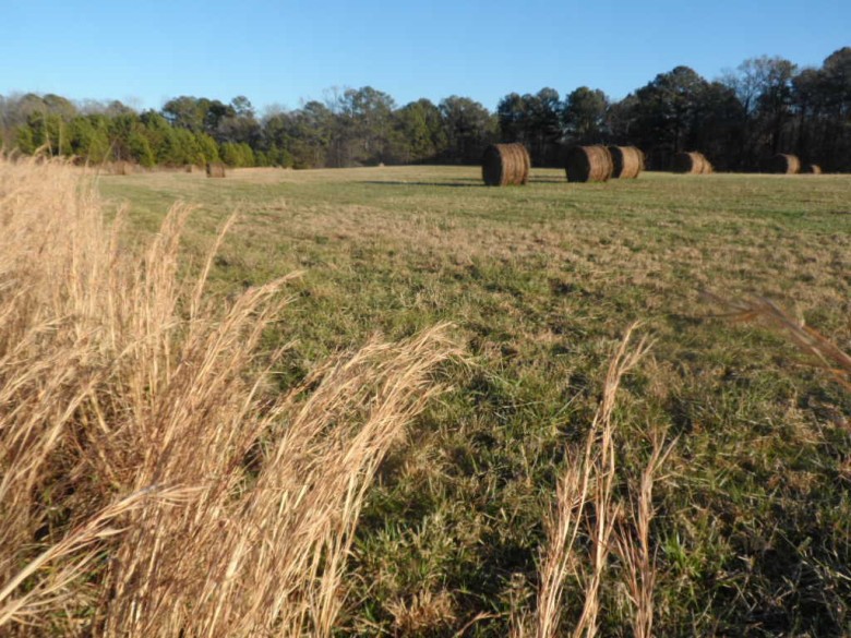 Hay bales in a rolling Jasper County pasture along the Monticello Crossroads Scenic Byway