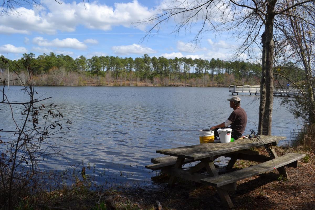 Angler beside Steve Bell Lake at Dodge County Public Fishing Area in a Georgia DNR photograph