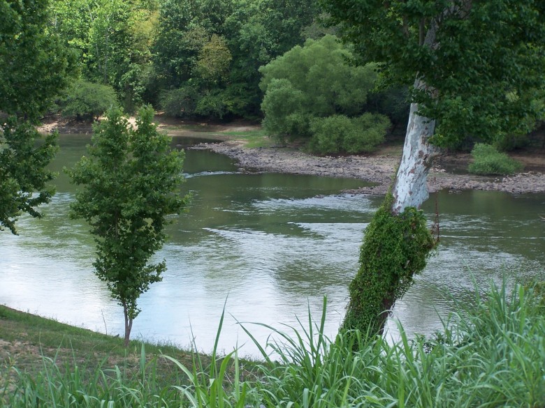 Tree-lined Ocmulgee riverbank pictured in the official tourism listing for Mile Branch Park