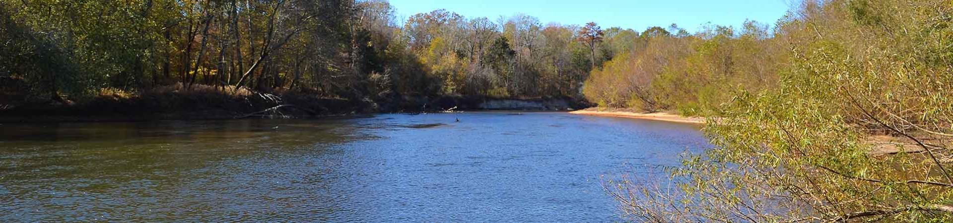 Flint River and wooded banks at Montezuma Bluffs